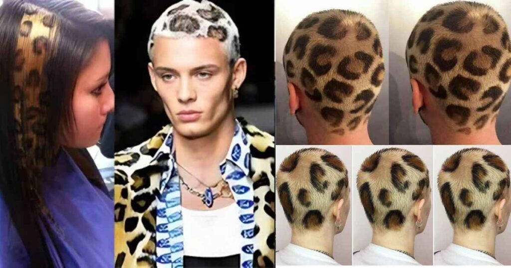 Cabelo Leopardo : Unveiling the Beauty of Cabelo Leopardo